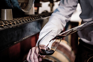 Initiation à la dégustation des vins de Bordeaux (33)
