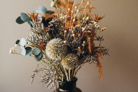 Funbooker - photo 1