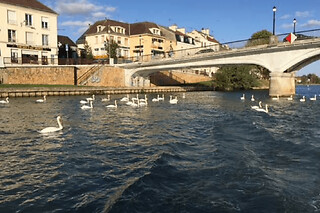 Permis Rivière à Lagny-sur-Marne (77) - Rivière - Semaine