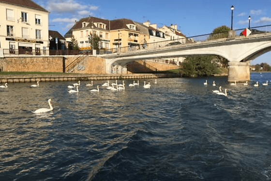 Permis Rivière à Lagny-sur-Marne (77) - Rivière - Semaine