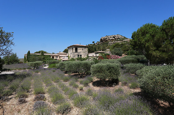 Garrigae L' Abbaye de Sainte Croix - photo 14