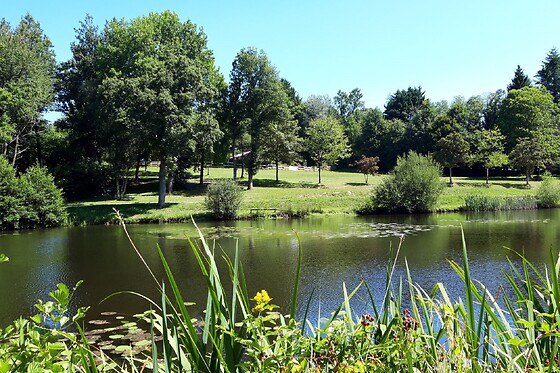 Camping Le Petit Bois - photo 7
