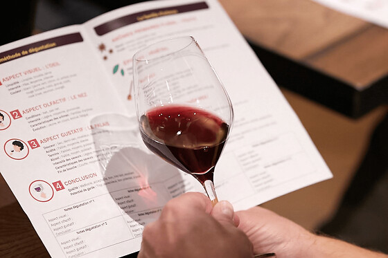 Oenologie, les clés de la dégustation niveau 1 à Bordeaux (33)