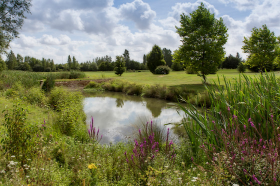 Ugolf Metz - photo 6