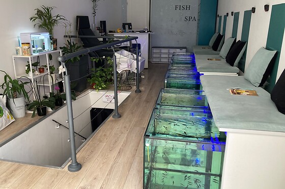 Eurasia Fish Spa - photo 3