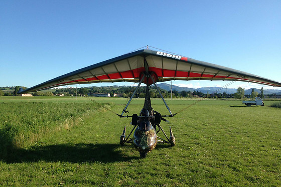 Flying Fox - photo 0
