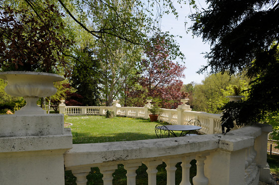 Splendid Hôtel - photo 2