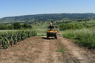 Randonnée Quad à Couches dans les vignobles - Randonnée - 1h30