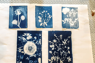 Atelier découverte Cyanotype à Paris (20)