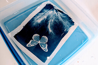 Atelier découverte Cyanotype à Paris (20)