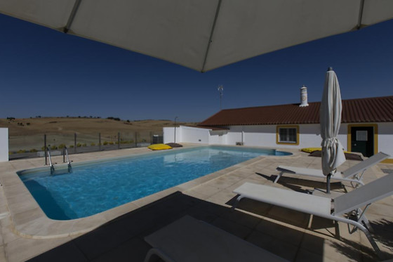 MONTE  VALE  - ORGANIC FARM - photo 6