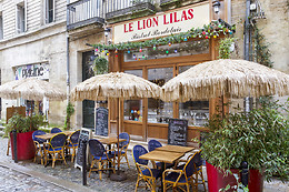 Le Lion Lilas