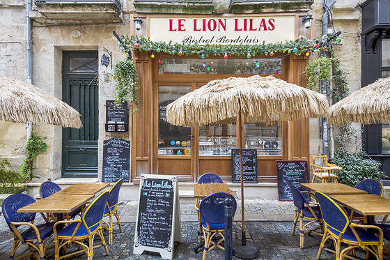 Le Lion Lilas - photo 13