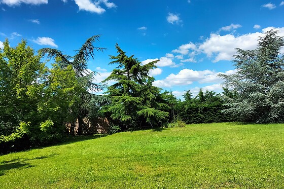 Le jardin des oiseaux - photo 2