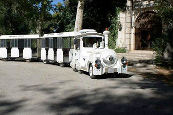 CHIQUITREN ARANJUEZ - photo 6