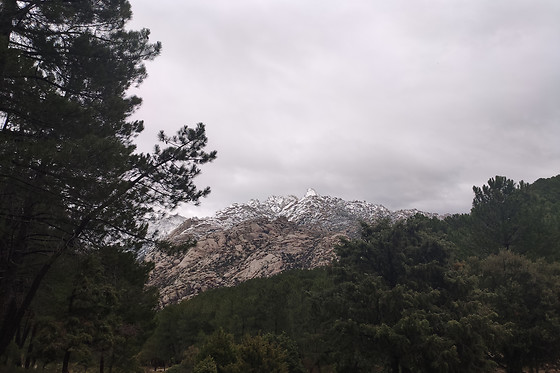 NATURANDA - photo 17