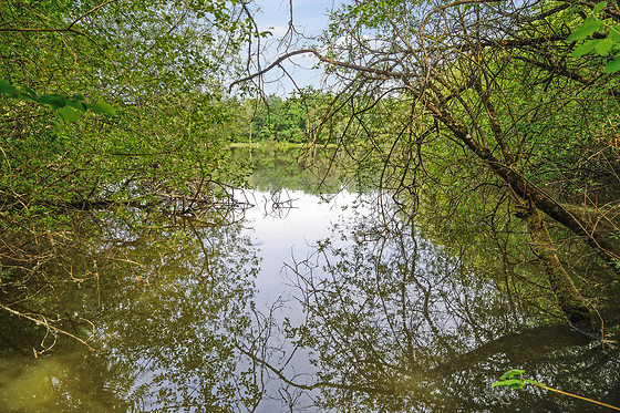 Séjour à 2 à l'Étang des Fontenils à Villeherviers (41)
