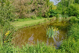 Séjour à 2 à l'Étang des Fontenils à Villeherviers (41)