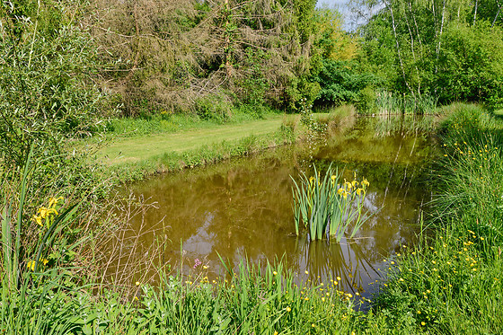 Séjour à 2 à l'Étang des Fontenils à Villeherviers (41)