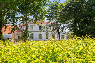 Cours d'oenologie au Château du Bois Huaut à Gorges (44)