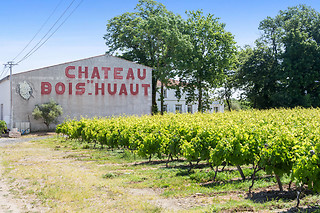 Cours d'oenologie au Château du Bois Huaut à Gorges (44)