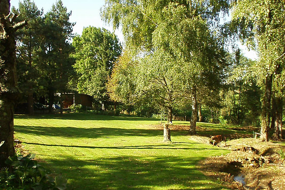 Chambres d'hôtes mille fleurs - photo 14