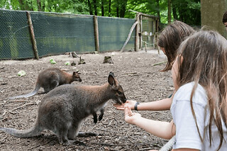 Billet pour Spaycific'zoo près du Mans (72)