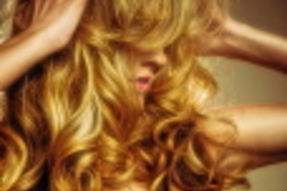 Compagnia della bellezza - photo 1