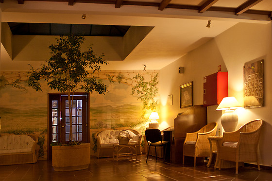 ALTE HOTEL - photo 6