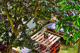 ECO-HOTEL DOÑA MAYOR